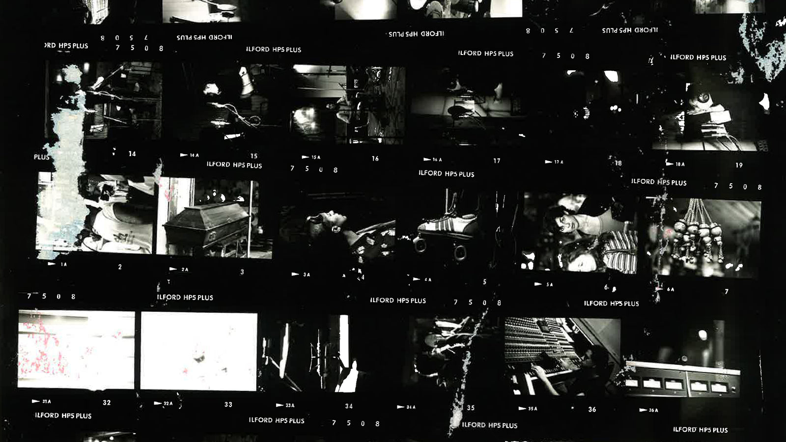 ZenPad Poly Reverse For Ableton Live + ZenPad 3 Packs